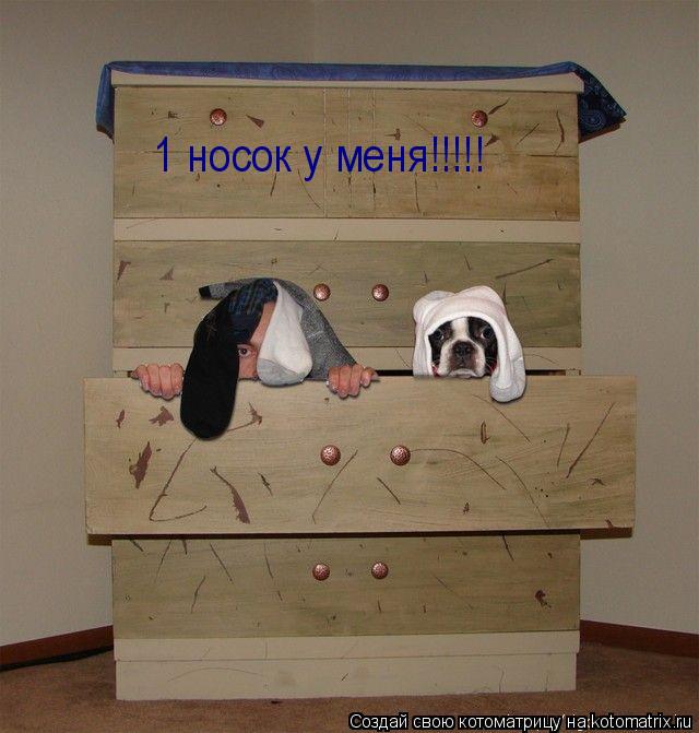 1 носок у меня!!!!!... Котоматрица: 1 носок у меня!!!!!
