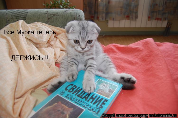 Все Мурка теперь ДЕРЖИСЬ!!!... Котоматрица: Все Мурка теперь ДЕРЖИСЬ!!!