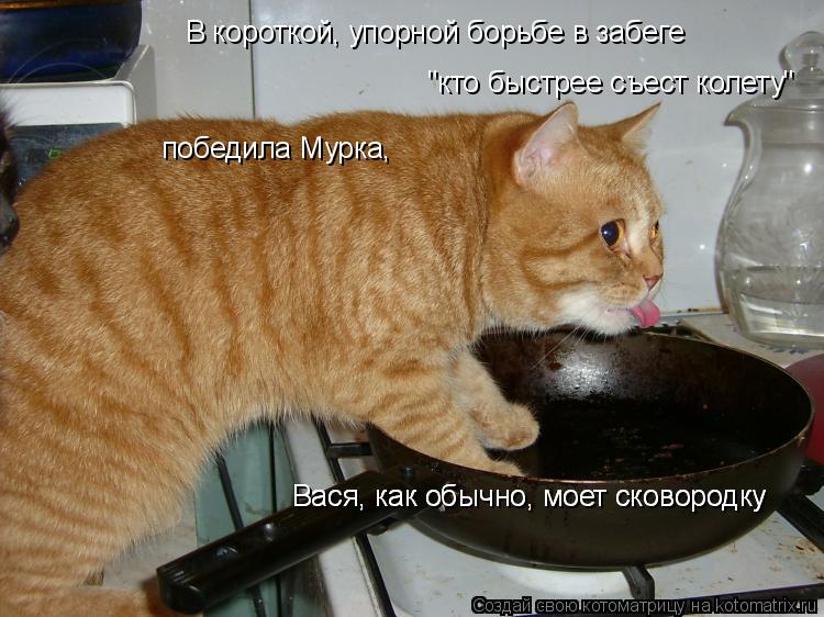 В короткой, упорной борьбе в забеге "кто быстрее съест колету" победила Мурка, Вася, как обычно, мое... Котоматрица: В короткой, упорной борьбе в забеге "кто быстрее съест колету" победила Мурка, Вася, как обычно, моет сковородку Вася, как обычно, моет сково