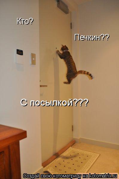 Кто? Печкин?? С посылкой???... Котоматрица: Кто? Печкин?? С посылкой???