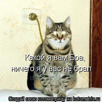 Какой я вам Бра, ничего я у вас не брал... Котоматрица: Какой я вам Бра, ничего я у вас не брал