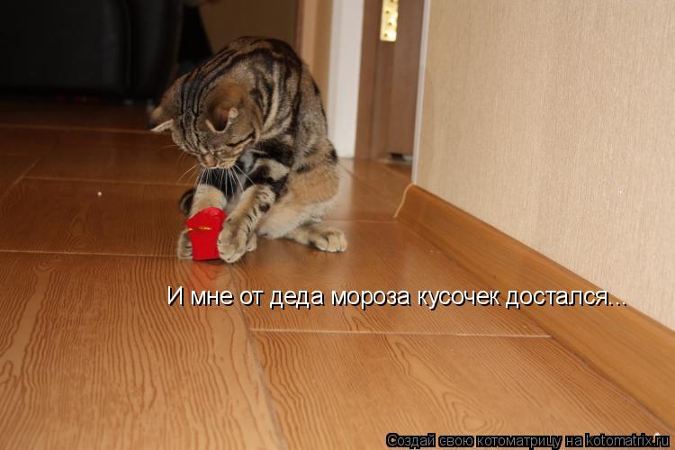 И мне от деда мороза кусочек достался...... Котоматрица: И мне от деда мороза кусочек достался...