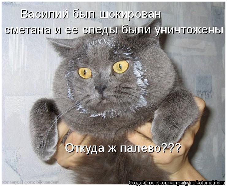 Василий был шокирован Откуда ж палево??? сметана и ее следы были уничтожены... Котоматрица: Василий был шокирован Откуда ж палево??? сметана и ее следы были уничтожены