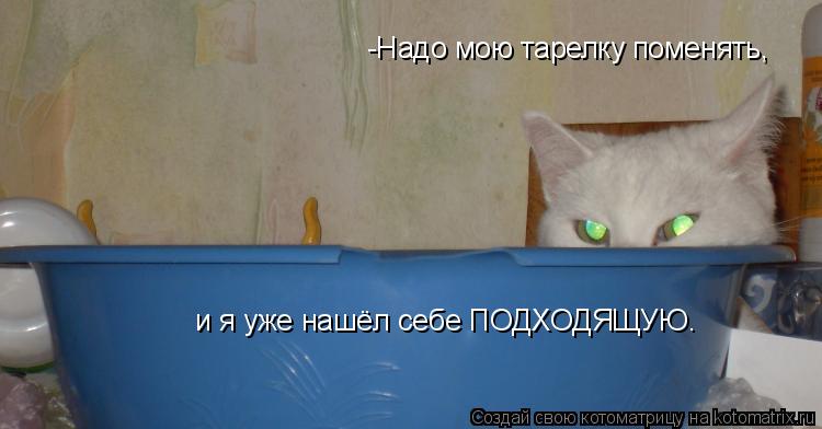 -Надо мою тарелку поменять, и я уже нашёл себе ПОДХОДЯЩУЮ…... Котоматрица: -Надо мою тарелку поменять, и я уже нашёл себе ПОДХОДЯЩУЮ…