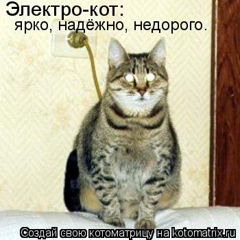 Электро-кот: ярко, надёжно, недорого.... Котоматрица: Электро-кот: ярко, надёжно, недорого.