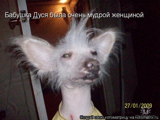 Бабушка Дуся была очень мудрой женщиной... Котоматрица: Бабушка Дуся была очень мудрой женщиной