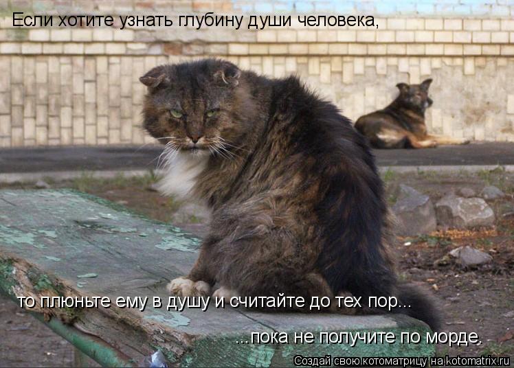 Если хотите узнать глубину души человека, то плюньте ему в душу и считайте до тех пор... ...пока не... Котоматрица: Если хотите узнать глубину души человека, то плюньте ему в душу и считайте до тех пор... ...пока не получите по морде.