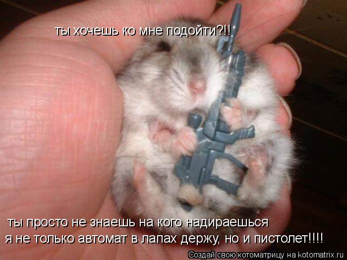 ты хочешь ко мне подойти?!! ты просто не знаешь на кого надираешься я не только автомат в лапах держу... Котоматрица: ты хочешь ко мне подойти?!! ты просто не знаешь на кого надираешься я не только автомат в лапах держу, но и пистолет!!!!