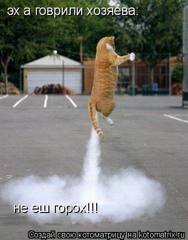 эх а говрили хозяева: не еш горох!!!... Котоматрица: эх а говрили хозяева: не еш горох!!!