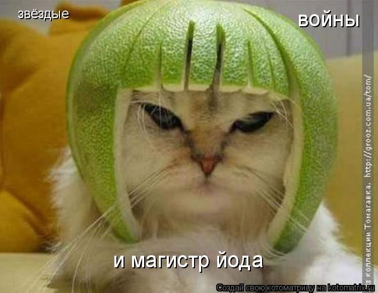 звёздые войны и магистр йода... Котоматрица: звёздые войны и магистр йода