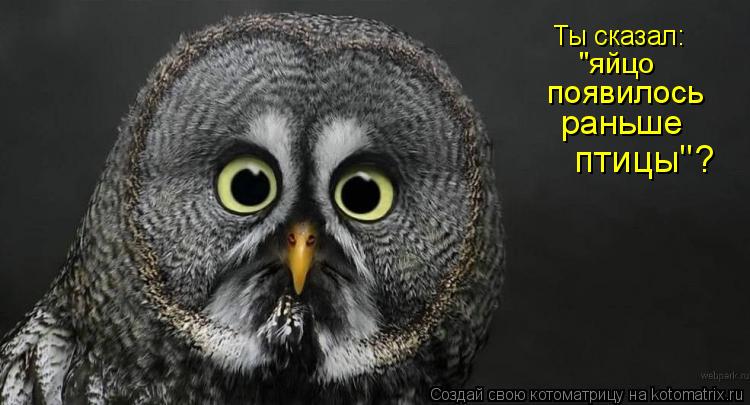 Ты сказал: появилось раньше "яйцо птицы"?... Котоматрица: Ты сказал: появилось раньше "яйцо птицы"?