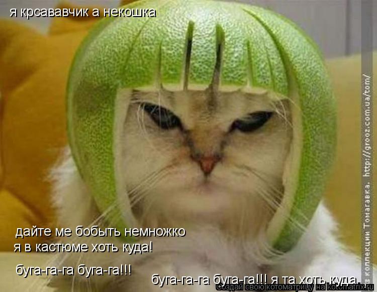 я крсававчик а некошка дайте ме бобыть немножко я в кастюме хоть куда! буга-га-га буга-га!!! буга-га-... Котоматрица: я крсававчик а некошка дайте ме бобыть немножко я в кастюме хоть куда! буга-га-га буга-га!!! буга-га-га буга-га!!! я та хоть куда