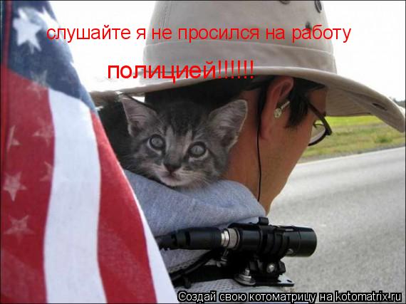 слушайте я не просился на работу полицией!!!!!!... Котоматрица: слушайте я не просился на работу полицией!!!!!!