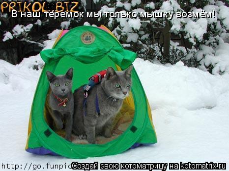 В наш теремок мы только мышку возмём!... Котоматрица: В наш теремок мы только мышку возмём!