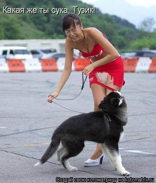 Какая же ты сука, Тузик!... Котоматрица: Какая же ты сука, Тузик!