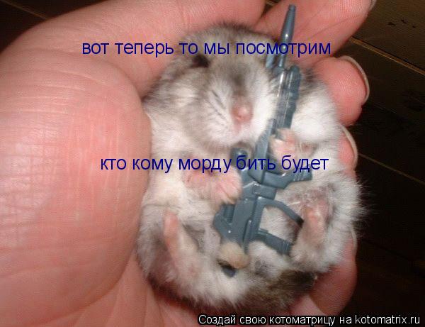 вот теперь то мы посмотрим кто кому морду бить будет... Котоматрица: вот теперь то мы посмотрим кто кому морду бить будет