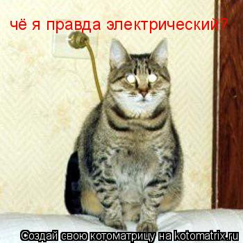 чё я правда электрический?... Котоматрица: чё я правда электрический?
