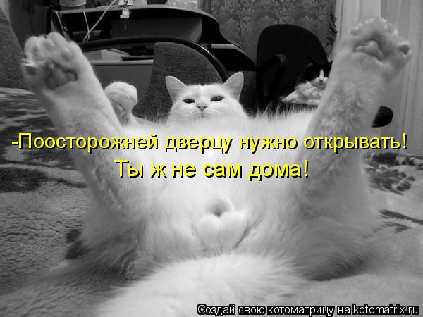 -Поосторожней дверцу нужно открывать! Ты ж не сам дома!... Котоматрица: -Поосторожней дверцу нужно открывать! Ты ж не сам дома!