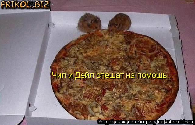 Чип и Дейл спешат на помощь...... Котоматрица: Чип и Дейл спешат на помощь...