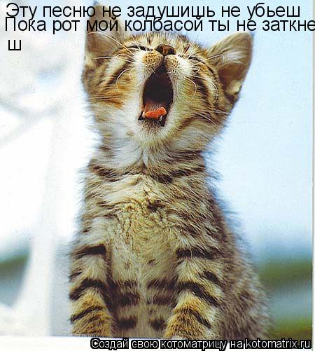 Эту песню не задушишь не убьеш Пока рот мой колбасой ты не заткнеш ш... Котоматрица: Эту песню не задушишь не убьеш Пока рот мой колбасой ты не заткнеш ш