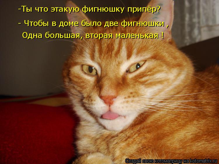 - Чтобы в доме было две фигнюшки , -Ты что этакую фигнюшку припёр? -Ты что этакую фигнюшку припёр? О... Котоматрица: - Чтобы в доме было две фигнюшки , -Ты что этакую фигнюшку припёр? -Ты что этакую фигнюшку припёр? Одна большая, вторая маленькая !