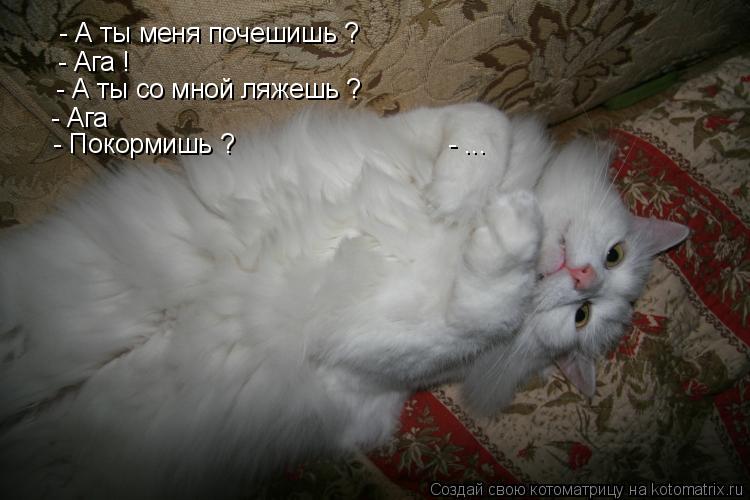 - А ты меня почешишь ? - Ага ! - Ага - А ты со мной ляжешь ? - Покормишь ? ... Котоматрица: - А ты меня почешишь ? - Ага ! - Ага - А ты со мной ляжешь ? - Покормишь ? - ...