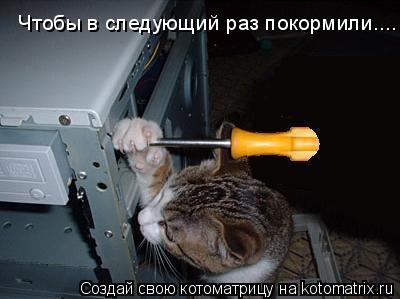 Чтобы в следующий раз покормили....... Котоматрица: Чтобы в следующий раз покормили....