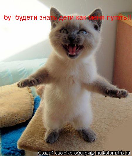 бу! будети знать дети как меня пугать!!... Котоматрица: бу! будети знать дети как меня пугать!!