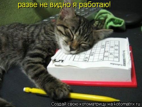 разве не видно я работаю!... Котоматрица: разве не видно я работаю!