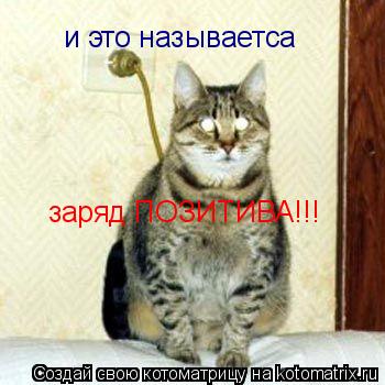 и это называетса заряд ПОЗИТИВА!!!... Котоматрица: и это называетса заряд ПОЗИТИВА!!!