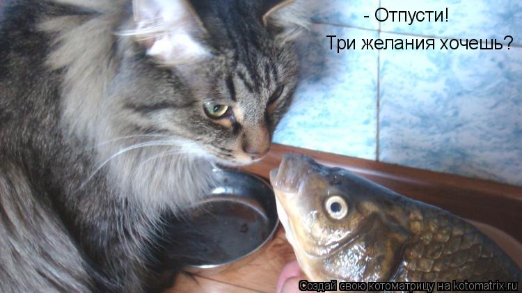 - Отпусти! Три желания хочешь?... Котоматрица: - Отпусти! Три желания хочешь?