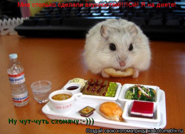 Мне столько сделали вкусностей!!!!Ой! Я на диете! Ну чут-чуть схомячу:-)))... Котоматрица: Мне столько сделали вкусностей!!!!Ой! Я на диете! Ну чут-чуть схомячу:-)))