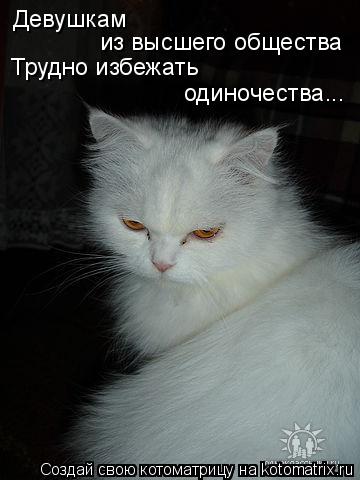 Девушкам из высшего общества Трудно избежать одиночества...... Котоматрица: Девушкам из высшего общества Трудно избежать одиночества...