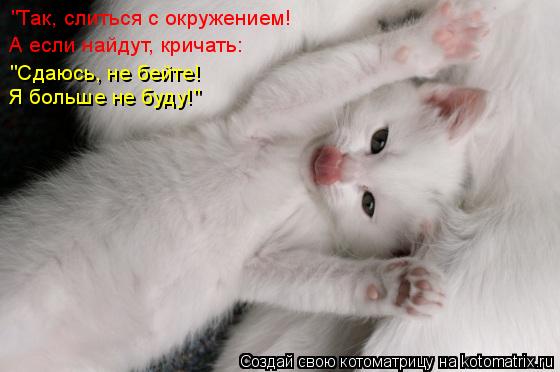 "Так, слиться с окружением! А если найдут, кричать: "Сдаюсь, не бейте! Я больше не буду!"... Котоматрица: "Так, слиться с окружением! А если найдут, кричать: "Сдаюсь, не бейте! Я больше не буду!"