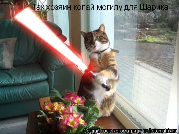 Так хозяин копай могилу для Шарика... Котоматрица: Так хозяин копай могилу для Шарика