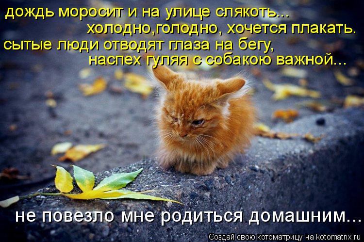 Международные музыкальные фестивали в России, Европе и по Любовные СМС Любимому парню. СМС Любимой