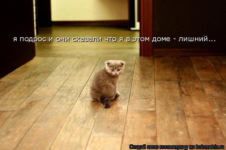 я подрос и они сказали что я в этом доме - лишний...... Котоматрица: я подрос и они сказали что я в этом доме - лишний...