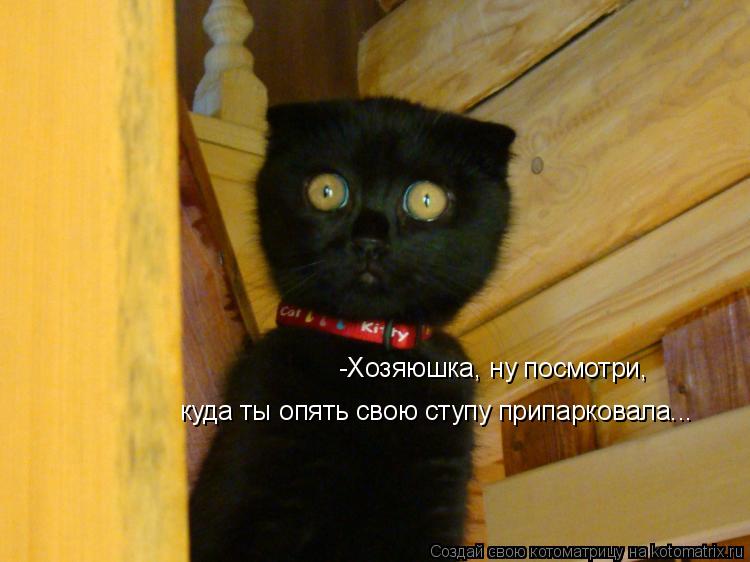 -Хозяюшка, ну посмотри, куда ты опять свою ступу припарковала...... Котоматрица: -Хозяюшка, ну посмотри, куда ты опять свою ступу припарковала...
