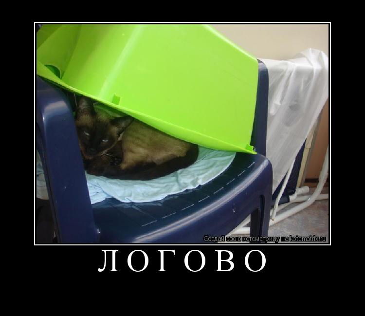 логово ... Котоматрица: логово