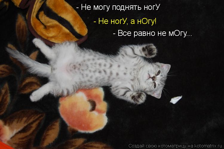 - Не могу поднять ногУ - Не ногУ, а нОгу! - Все равно не мОгу...... Котоматрица: - Не могу поднять ногУ - Не ногУ, а нОгу! - Все равно не мОгу...