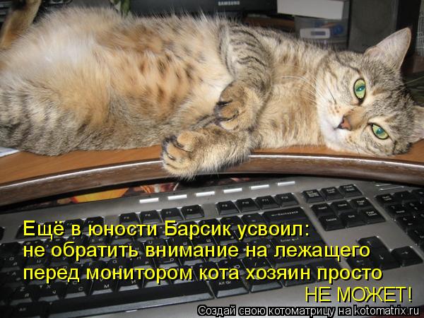 Ещё в юности Барсик усвоил: не обратить внимание на лежащего перед монитором кота хозяин просто НЕ МО... Котоматрица: Ещё в юности Барсик усвоил: не обратить внимание на лежащего перед монитором кота хозяин просто НЕ МОЖЕТ!
