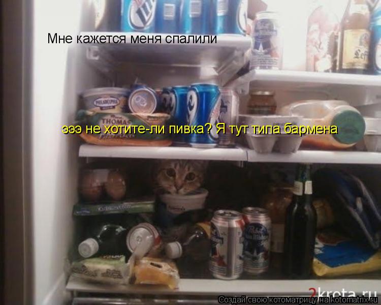 Мне кажется меня спалили эээ не хотите-ли пивка? Я тут типа бармена... Котоматрица: Мне кажется меня спалили эээ не хотите-ли пивка? Я тут типа бармена