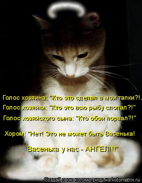Голос хозяина: "Кто это сделал в мои тапки?!..." Голос хозяйки: "Кто это всю рыбу слопал?!" Голос хоз... Котоматрица: Голос хозяина: "Кто это сделал в мои тапки?!..." Голос хозяйки: "Кто это всю рыбу слопал?!" Голос хозяйского сына: "Кто обои порвал?!" Хором: "Нет! Э