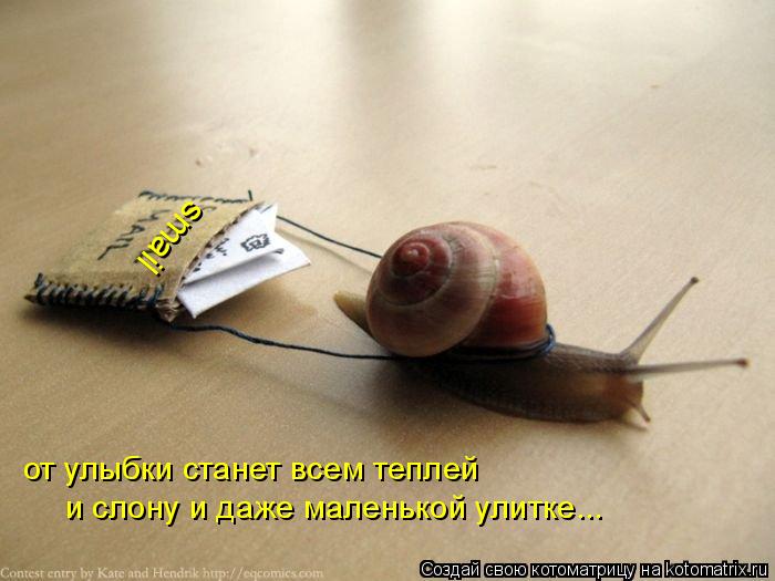 smail от улыбки станет всем теплей и слону и даже маленькой улитке...... Котоматрица: smail от улыбки станет всем теплей и слону и даже маленькой улитке...
