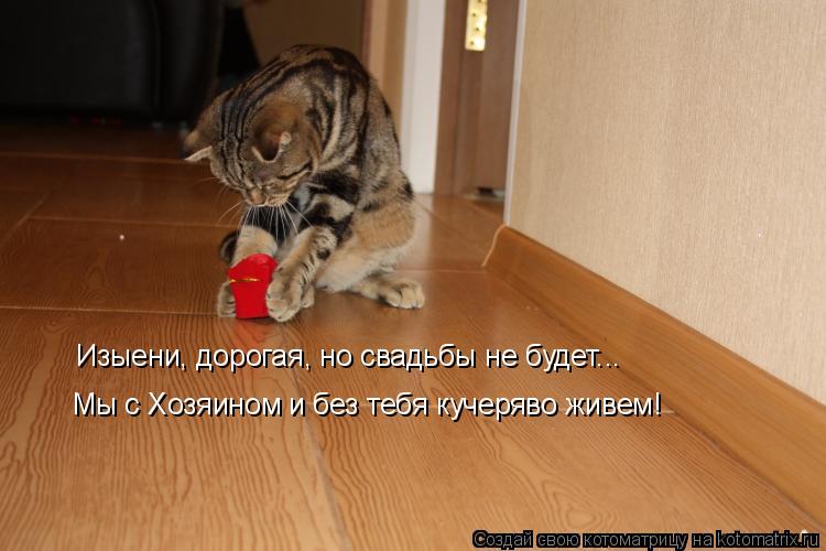 Изыени, дорогая, но свадьбы не будет... Мы с Хозяином и без тебя кучеряво живем!... Котоматрица: Изыени, дорогая, но свадьбы не будет... Мы с Хозяином и без тебя кучеряво живем!