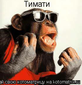 Тимати... Котоматрица: Тимати