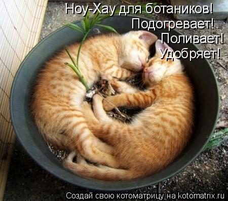 Ноу-Хау для ботаников! Подогревает! Поливает! Удобряет!... Котоматрица: Ноу-Хау для ботаников! Подогревает! Поливает! Удобряет!