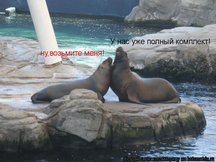 ну,возьмите меня! У нас уже полный комплект!... Котоматрица: ну,возьмите меня! У нас уже полный комплект!