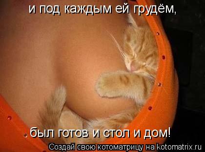 и под каждым ей грудём, был готов и стол и дом!... Котоматрица: и под каждым ей грудём, был готов и стол и дом!