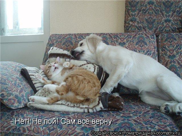 - Нет! Не пой! Сам всё верну... Котоматрица: - Нет! Не пой! Сам всё верну